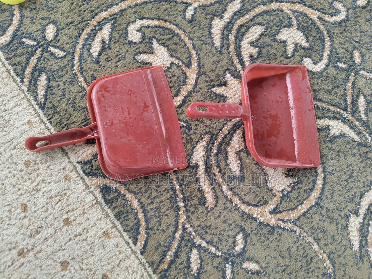 Small Plastic Dust Pan