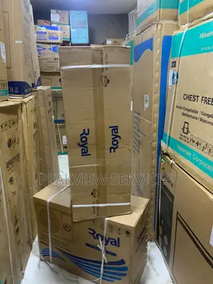 Royal 2HP Low Voltage Inverter AC