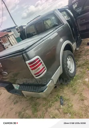 Ford F-150 2006 Gray