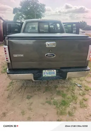 Ford F-150 2006 Gray