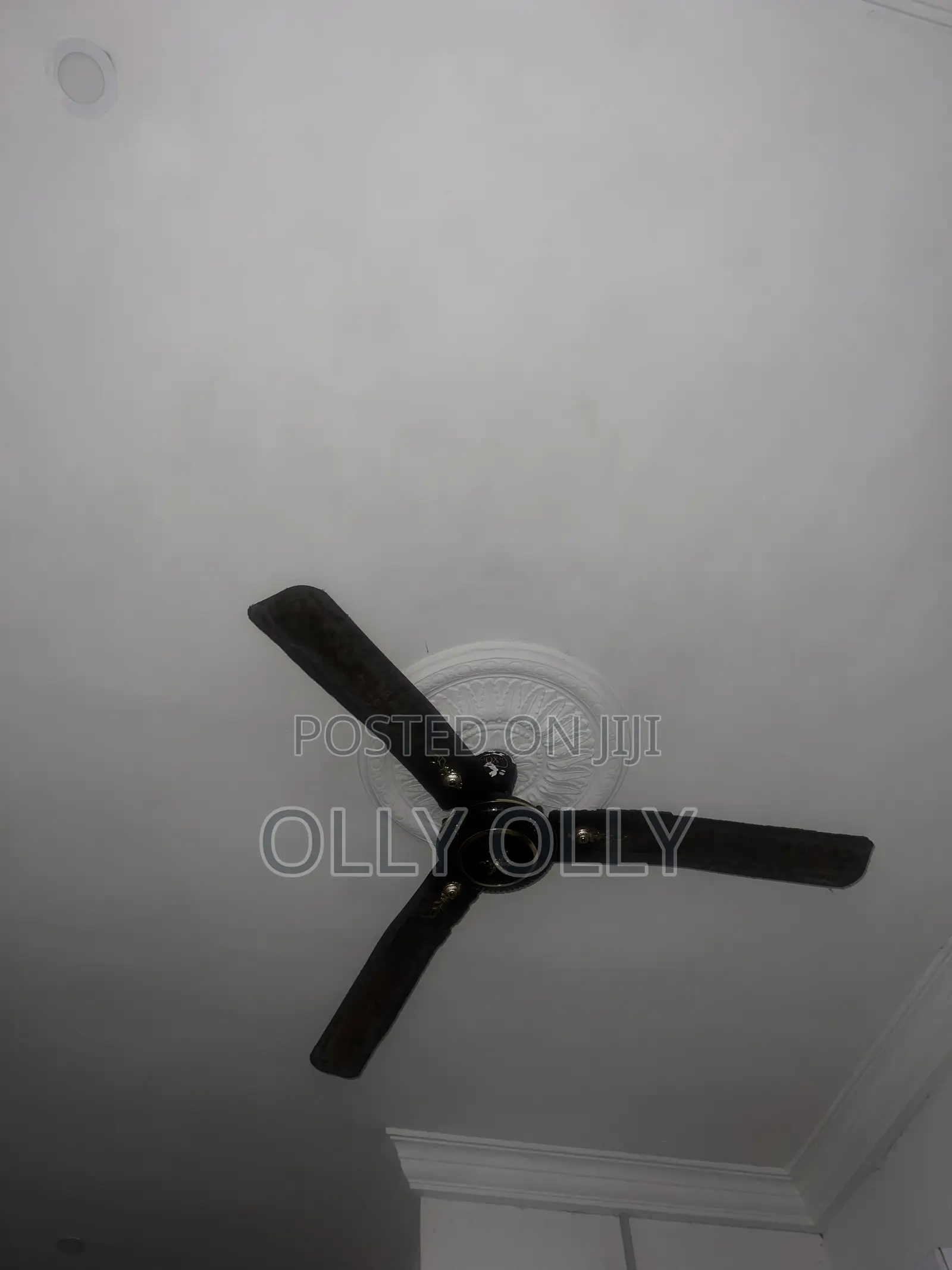 Ceiling Fan