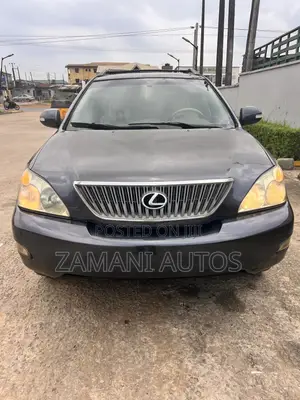 Lexus RX 2007 Gray