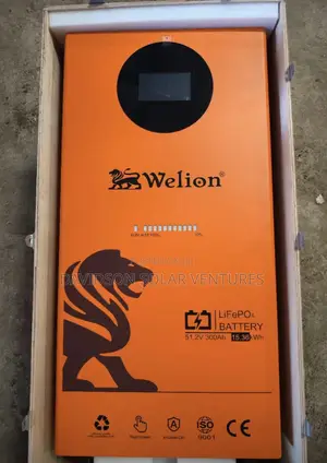 15kwh 48v Welion Lithium Ion Battery