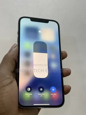 Apple iPhone 12 Pro Max 128 GB Gray