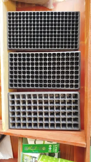 Seedling Trays