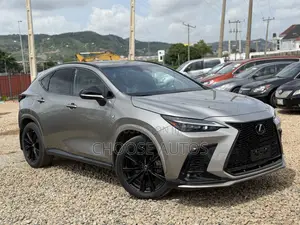 Lexus NX 350 Premium AWD 2024 Gray
