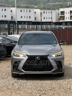 Lexus NX 350 Premium AWD 2024 Gray