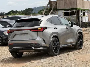 Lexus NX 350 Premium AWD 2024 Gray
