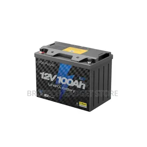 EcoFlow Lithium 12V 100Ah Deep Cycle Marine Trolling Motor Battery