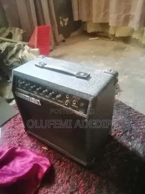Guitar Combo Speaker for Sale