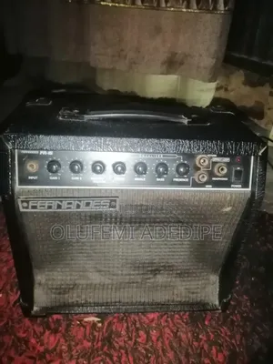Guitar Combo Speaker for Sale