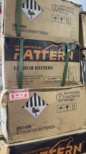 24v 2.5kwh Pattern Lithium Ion Battery