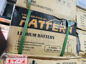 Pattern 2.56kwh 24v Lithium Battery