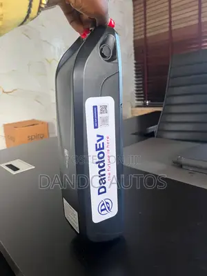 Electric Bike Battery