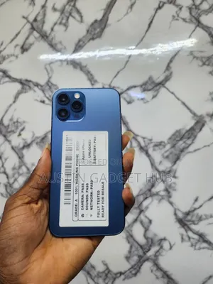 Apple iPhone 12 Pro Max 256 GB Blue