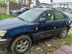 Lexus RX 330 4WD 2003 Blue
