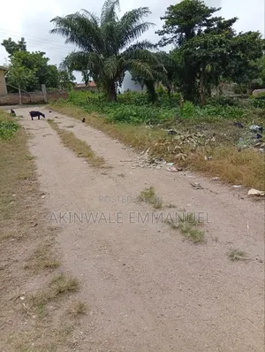 Land for Sale Behind Trade Fair Offertedo