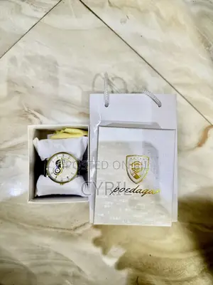 Poedagar Automatic Genuine Leather Watch