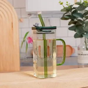 Drinking Glass Cup With Lids and Glass Straw