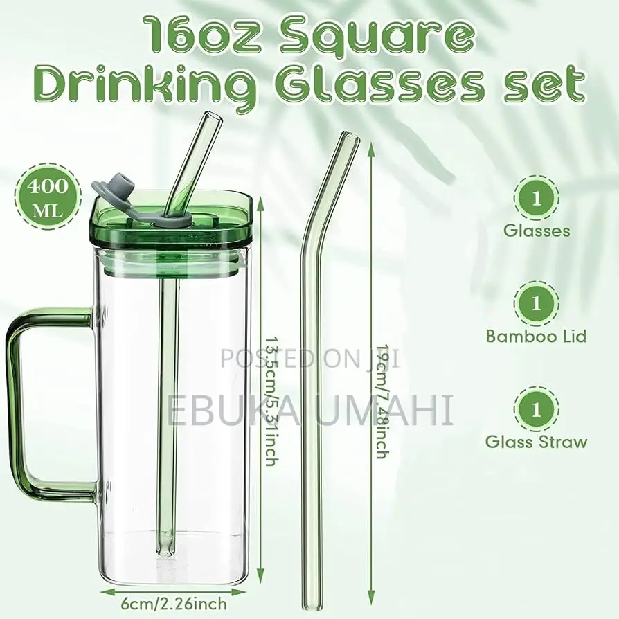 Drinking Glass Cup With Lids and Glass Straw