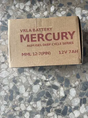 Mercury UPS Battery