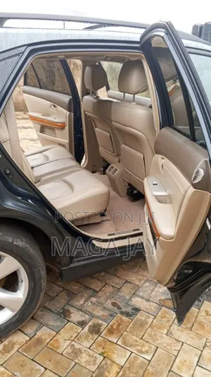 Lexus RX 330 2005 Gray