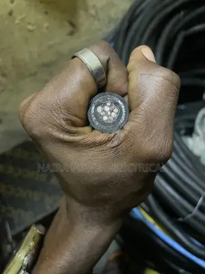 2.5mm 4per Armored Cable