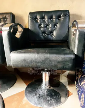 Salon Chair