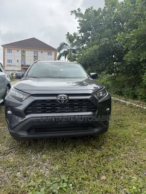 Toyota RAV4 XLE 2022 Gray