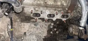 Directed Japan Used