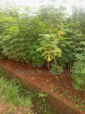 2 Plot of Land for Sale at Obinagu Road Awka