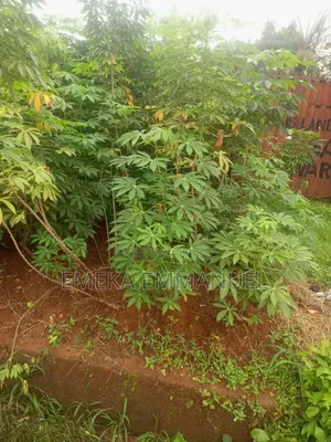 2 Plot of Land for Sale at Obinagu Road Awka