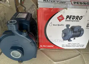 1.5hp Pedro Surface Pump