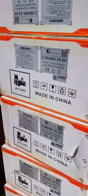 2.5kwh 25.6v Felicity Lithium Battery
