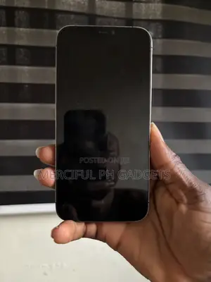 Apple iPhone 12 Pro Max 128 GB Blue