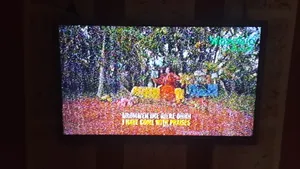 LG 32 Inches TV