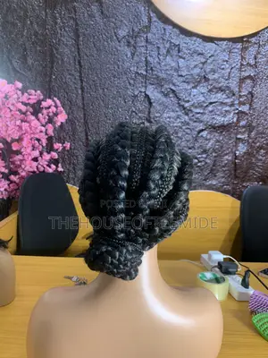 Braided Wig