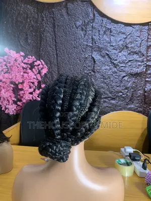Braided Wig