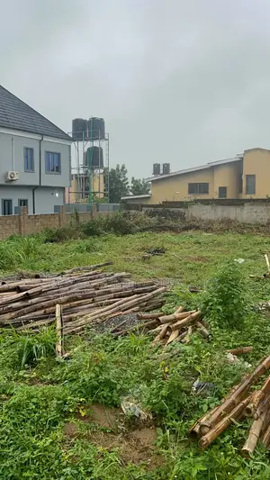 A Plot of Dry Land for Sale