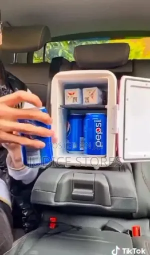 Car Fridge