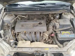 Toyota Corolla 2003 Gold