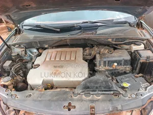 Lexus RX 2008 Blue