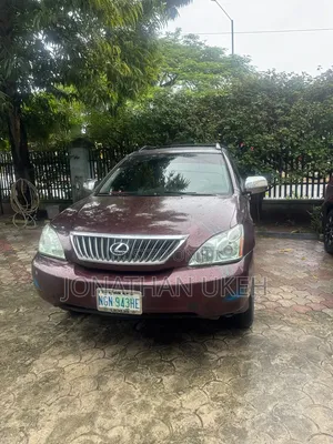 Lexus RX 2009 Maroon