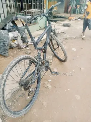 Bicycle Ride