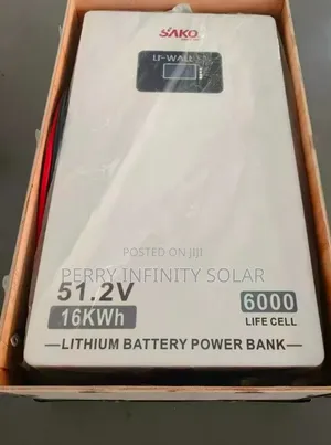 SAKO 16kWh 51.2V 314Ah Lithium Battery | Smart BMS | 6000+ Cycles