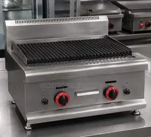High Quality Commercial Gas Lava Rock/Charcoal Grill
