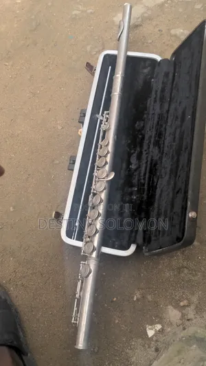 Fairly Used (Usa) Musical Flute