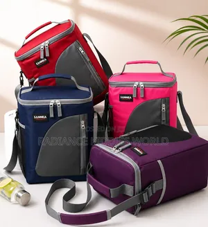 Big Size Lunch Bags