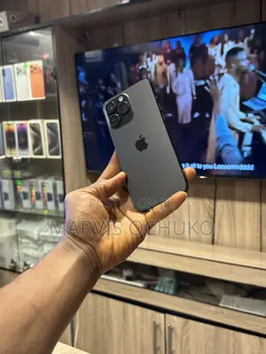 Apple iPhone 15 Pro Max 256 GB Black