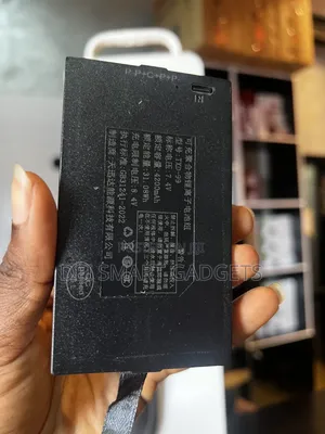 Smart Lock Battery
